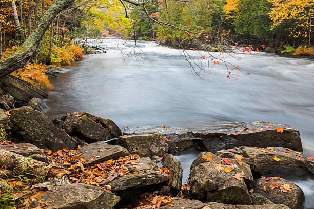 istock Huge boulders and colorful fall forest on a riverside 490876868