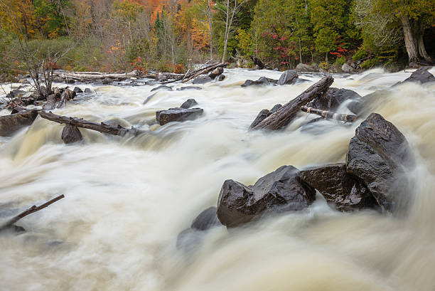 istock Close up view of black rocks in a river 490876936