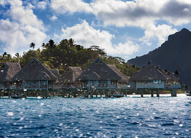 istock island with palm trees in  sea through splashes of waves 490877332