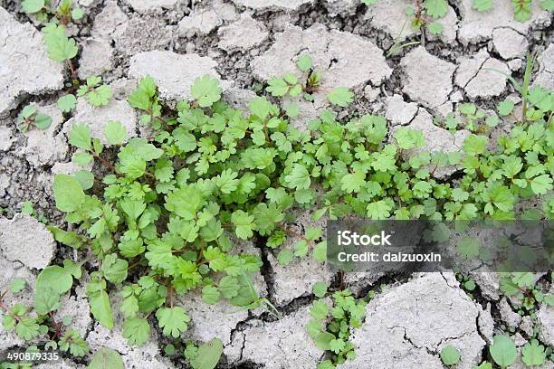 Etc Foto de stock y más banco de imágenes de Abstracto - Abstracto, Agricultura, Agrietado