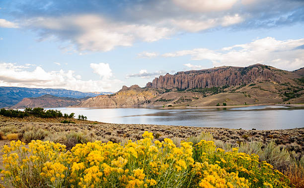 istock Curecanti National Recreation Area 490880118
