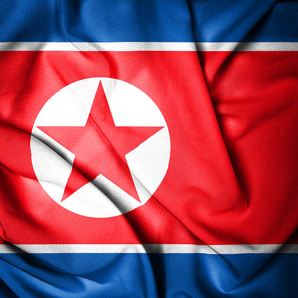 istock Close up Flag of North Korea 490880605