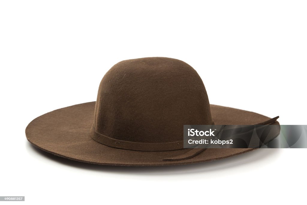 brown has brown hat isolated on white background Brown Stock Photo brown has brown hat isolated on white background Brown Stock Photo