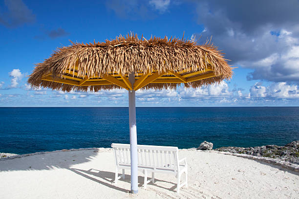 visualizzazione perfetta - beach bench caribbean sea cloudscape foto e immagini stock