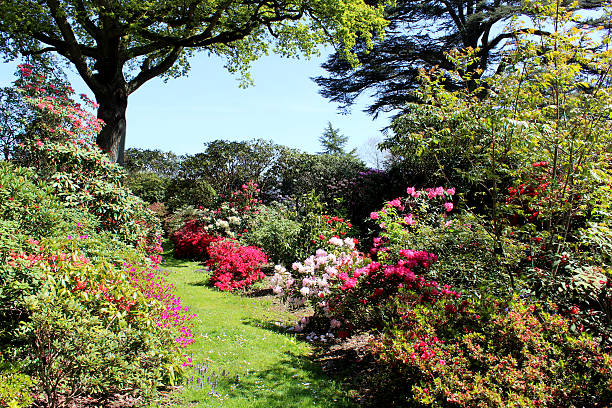 istock Image of lawn pathway through flower beds in small garden 490882591