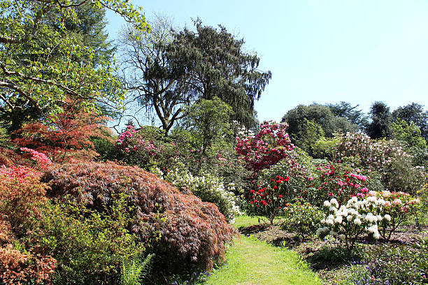 istock Image of lawn pathway through flower beds in small garden 490882595