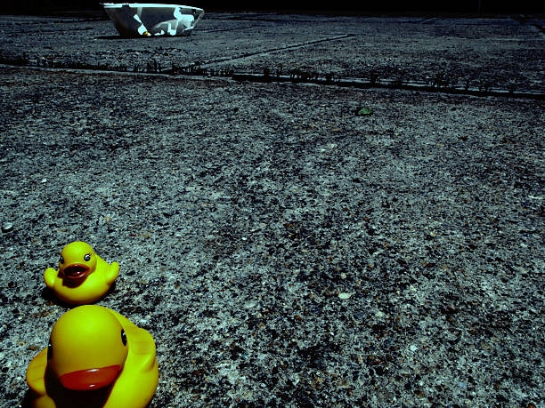 Rubber ducks are composed to do escaping / migratory from a ruined / devastated environment. One of them is left behind, near the ruined plastic tub object. The picture is a possible source of several metaphors and symbolic ideas.