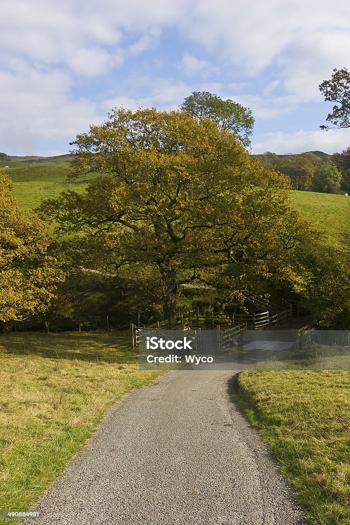 Cloudy Lake District (Cumbria) Autumn Stock Photo