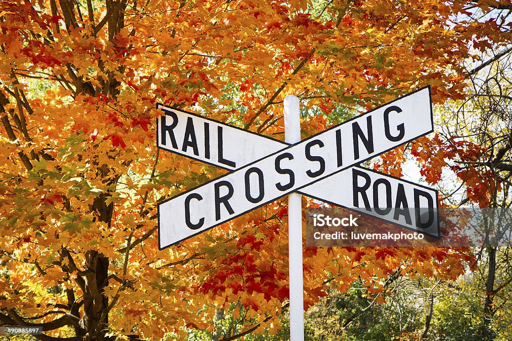 Autumn Railroad Crossing Sign A railroad crossing sign with a brightly colored autumn tree; Delware and Raritan Canal State Park, New Jersey Maple Tree Stock Photo