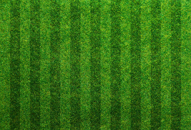 green grass soccer field background
