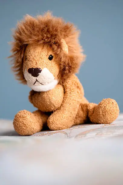 A lion soft toy.