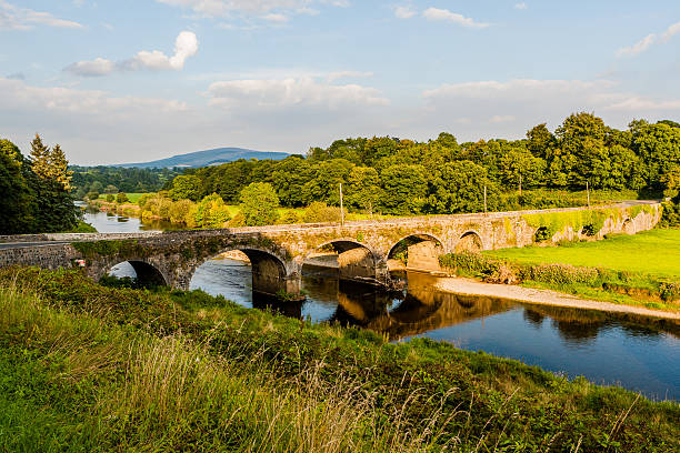 istock Historic Bridge, Inistioge, Ireland 490887992
