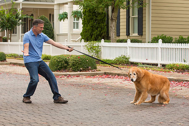 stubborn dog walking