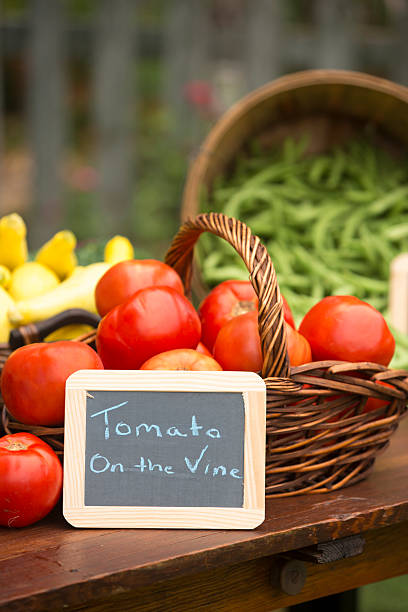 istock Basket of tomatoes 490888344