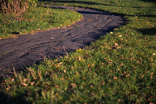 percorso nella natura - crinky foto e immagini stock