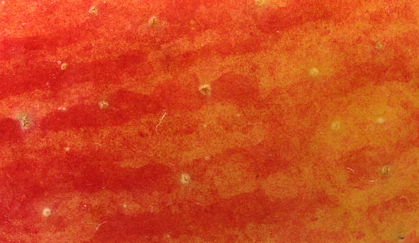 istock texture of the apple peel 490890304