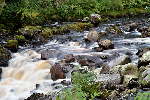 kleine schottische river in ländlichen verwaltungsbehörde dumfries and galloway - wigtownshire stock-fotos und bilder