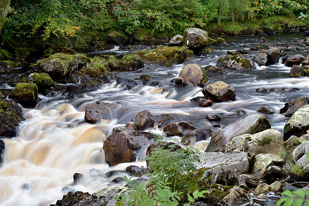 istock Small Scottish river in rural Dumfries and Galloway 490911650