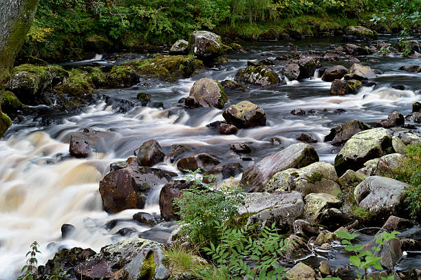 kleine schottische river in ländlichen verwaltungsbehörde dumfries and galloway - wigtownshire stock-fotos und bilder