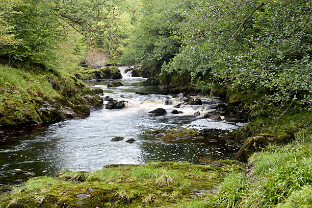 маленький шотландский река в сельских дамфрис и галлоуэй - wigtownshire стоковые фото и изображения