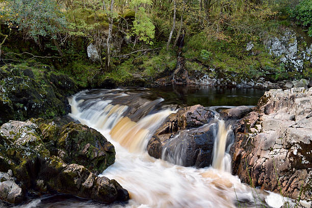 kleine schottische river in ländlichen verwaltungsbehörde dumfries and galloway - wigtownshire stock-fotos und bilder