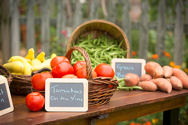 istock Fresh produce from garden 490912154