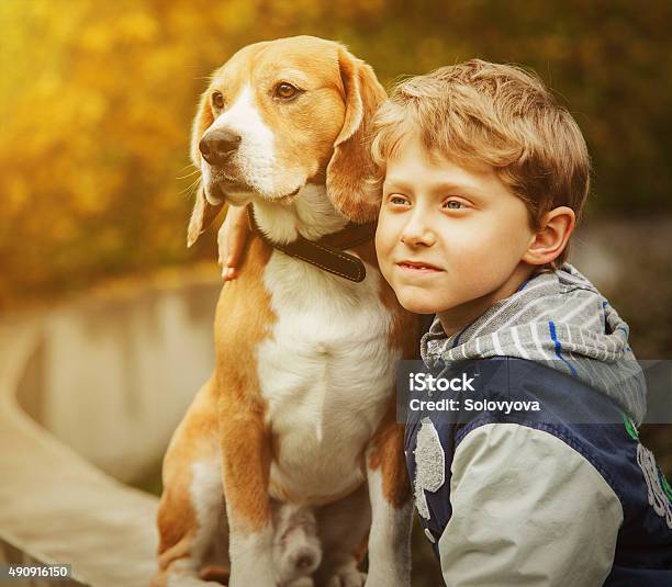 Boy With Beagle Portrait Stock Photo - Download Image Now - 2015, Animal, Beagle