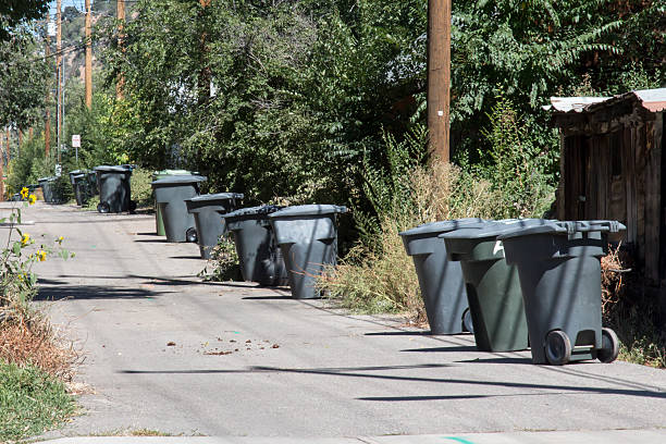 istock Alleyway lined with green garbage cans 490918040