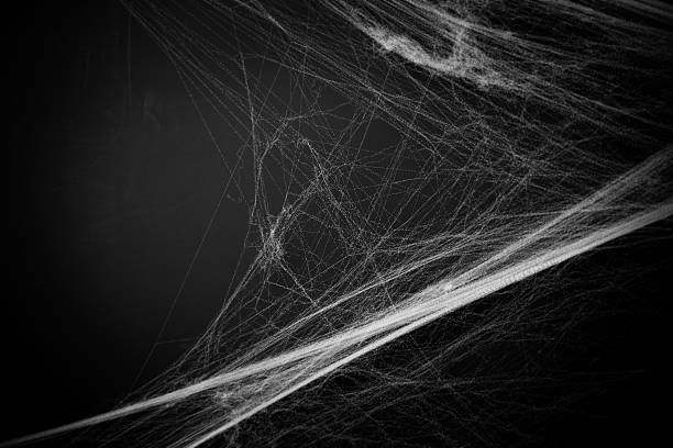 background full of cobwebs halloween background with faux cobwebs. spider web photos stock pictures, royalty-free photos & images