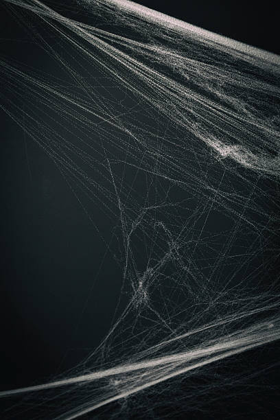 istock background full of cobwebs 490920026