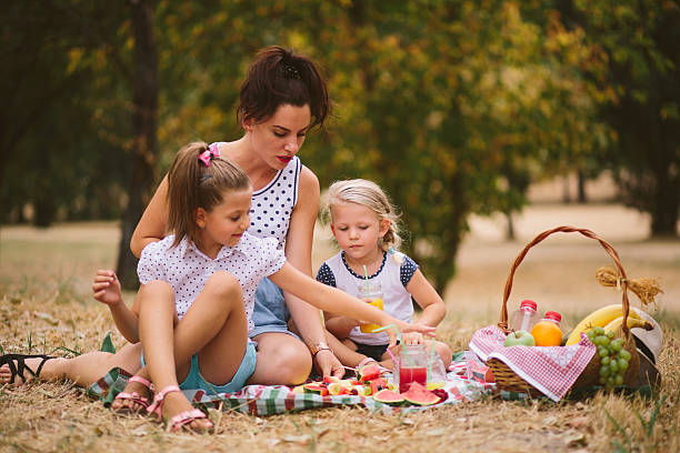 istock Family at picnic 490920512