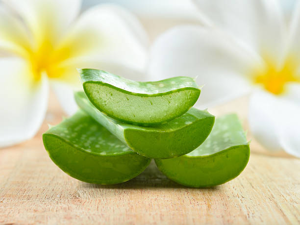 istock Fresh  aloe leaves  on wooden  background 490922700