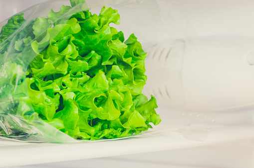 Lettuce In The Refrigerator At Home Stock Photo - Download Image Now ...