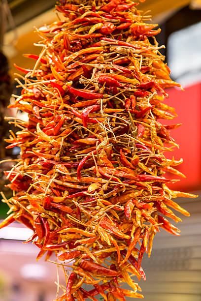 istock Hanged dry and sear hot red chili peppers 490923374
