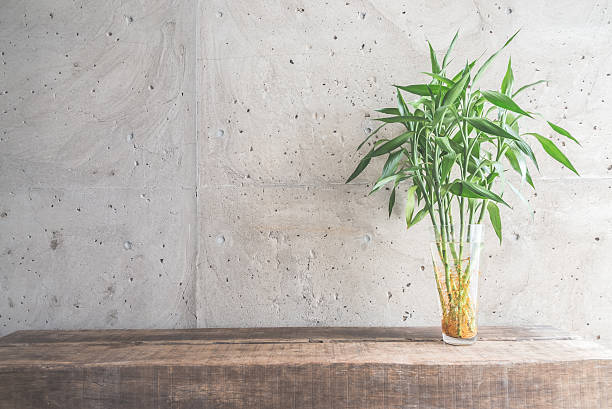 istock Vase plant decoration with empty room 490923678