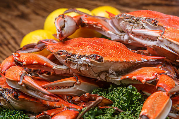 istock Steamed Blue Crabs on a wooden table 490923851