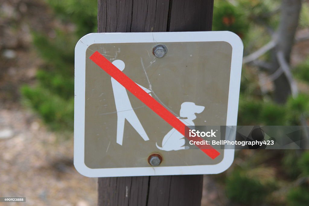 Sign warning that dogs are not permitted Sign on a lamppost warning that dogs are not permitted.  The sign is denoted by a picture of a man with a dog on a leash with a thick red line through the picture 2015 Stock Photo