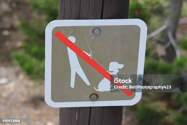 Sign Warning That Dogs Are Not Permitted Stock Photo - Download Image Now - 2015, Animal, Canine - Animal