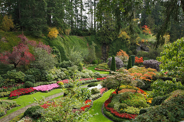 istock The island Vancouver in Canada 490924759