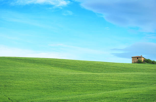 istock Rolling hills of Tuscany and house with copy space 490926287