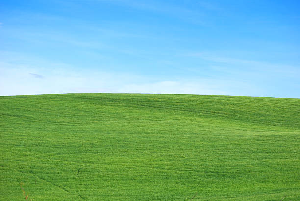 istock hills of Tuscany with copy space 490926527