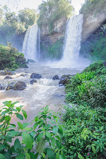 istock Iguassu National Park 490927045