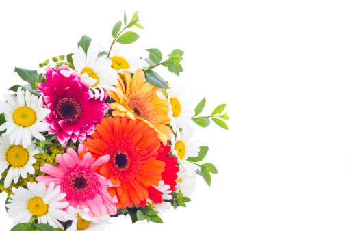 Bunch of daisy and gerbera flowers, isolated with copy space