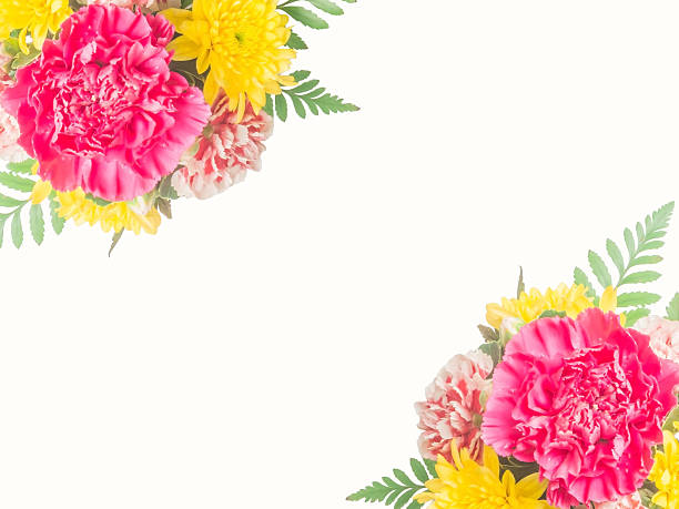 istock Bouquet of carnation flowers 490930049