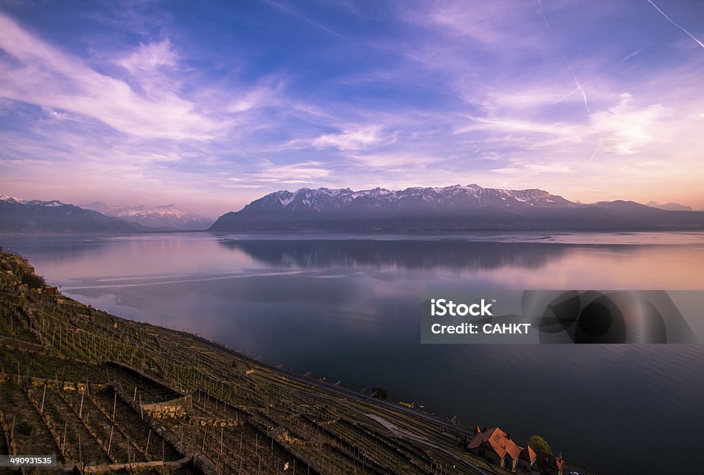 Dezaley Vineyards of the Lavaux region over lake Leman (lake of Geneva) Agriculture Stock Photo