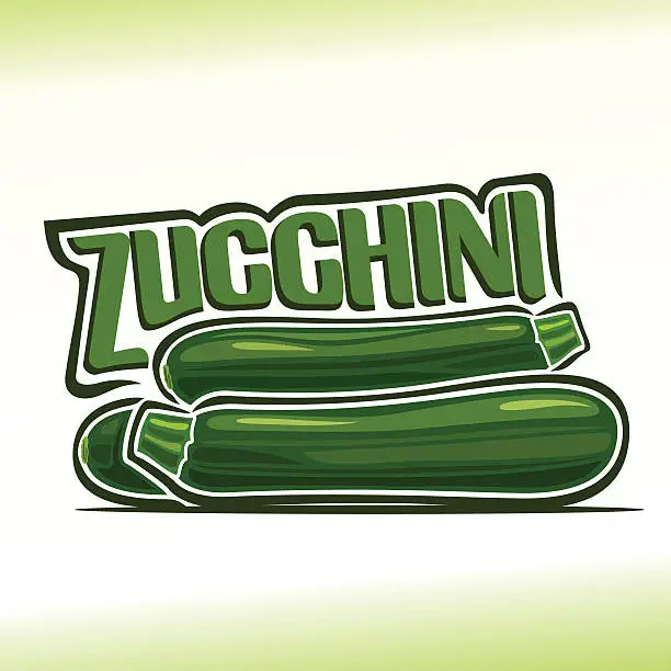 Vector illustration of Vector illustration on the theme of zucchini