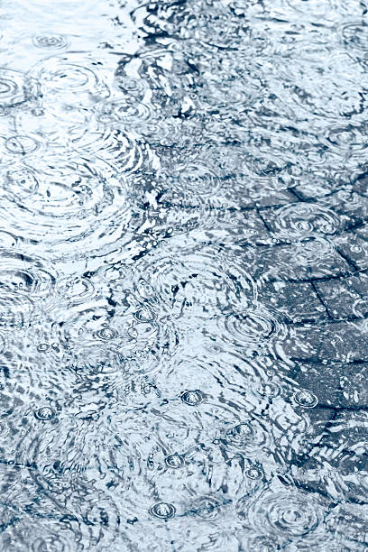 istock puddle of water on cobblestone pavement 490935132