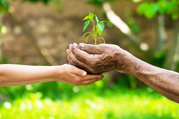istock life in your hands - garden 490937026