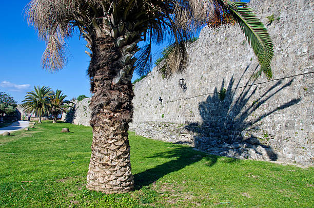 istock Palm tree by old wall  in Rhodes 490941268