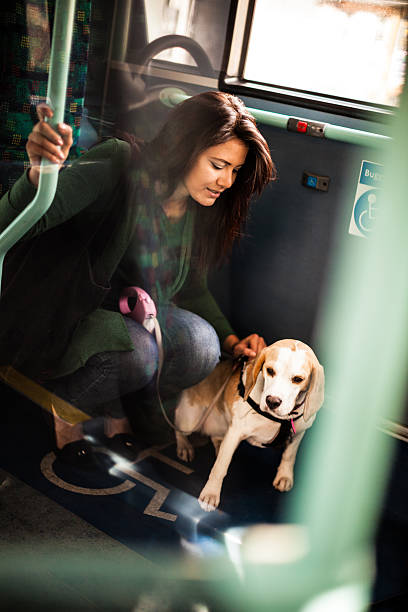 istock Pet owner and her dog inside a public bus 490943196